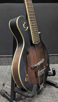 Gold Tone 6-String F-style Mando-Guitar w/ Pickup 4